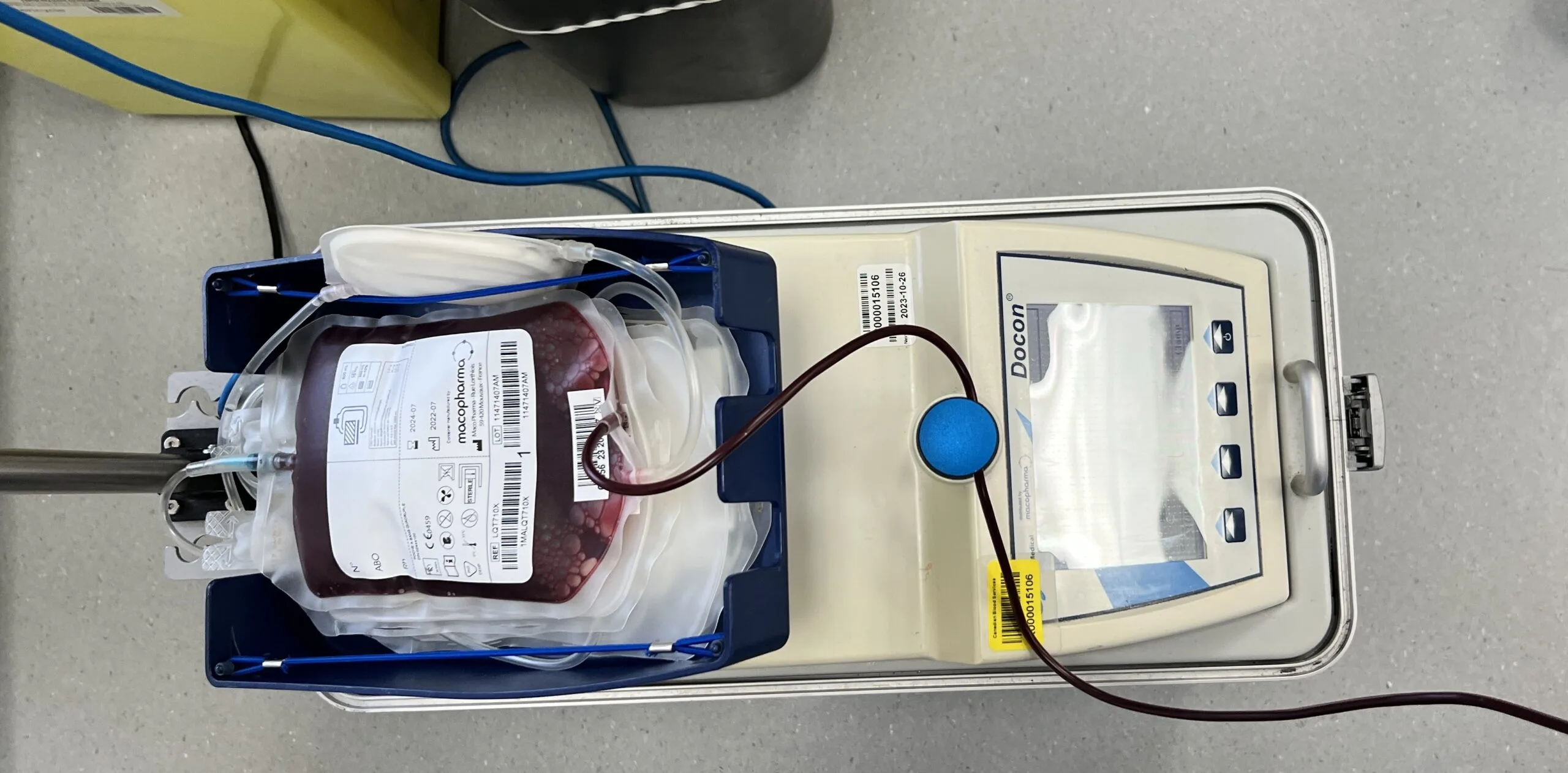 Learning From My Blood