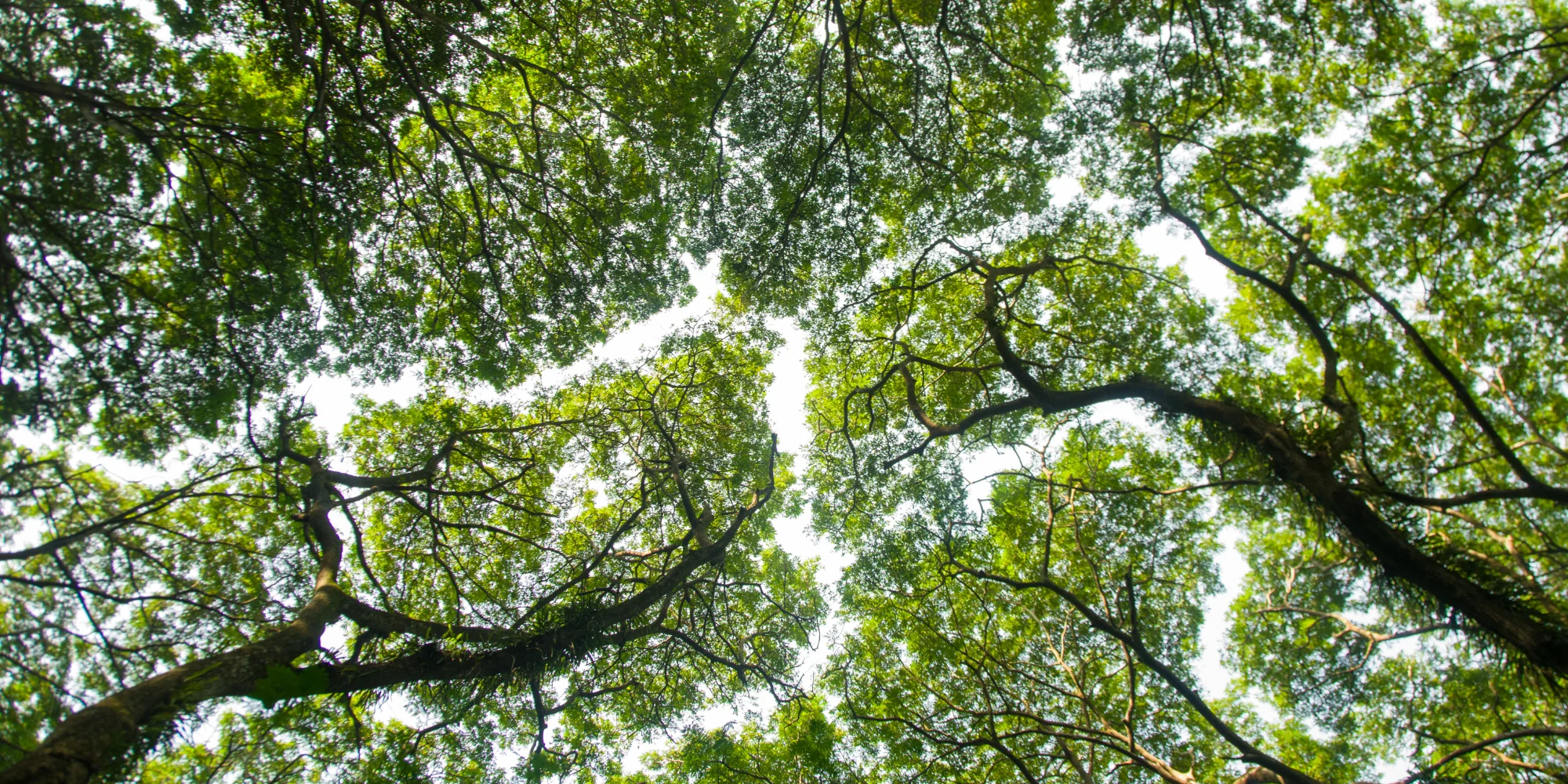 What Makes People Stay